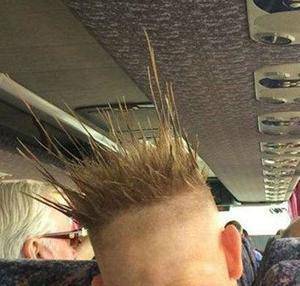 爆笑GIF: 任世界如何喧闹，我还是我！